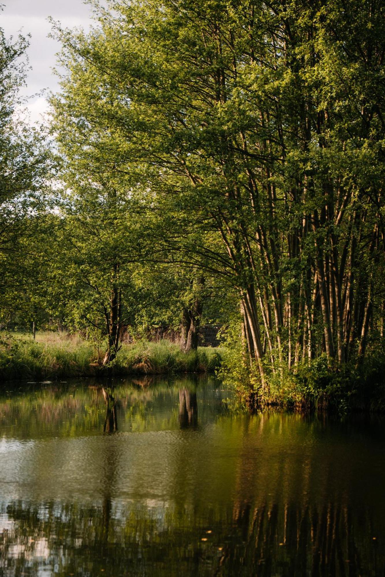 Chrzypsko Wielkie Palac Srodka المظهر الخارجي الصورة